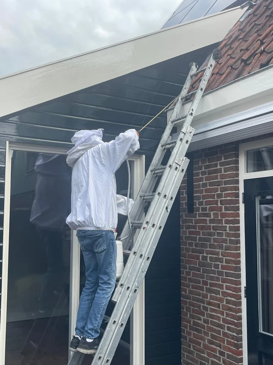Een nest onder de dakrand. Daar kom ik met de ladder bij, en dat is precies waarom je dit niet zelf moet doen.