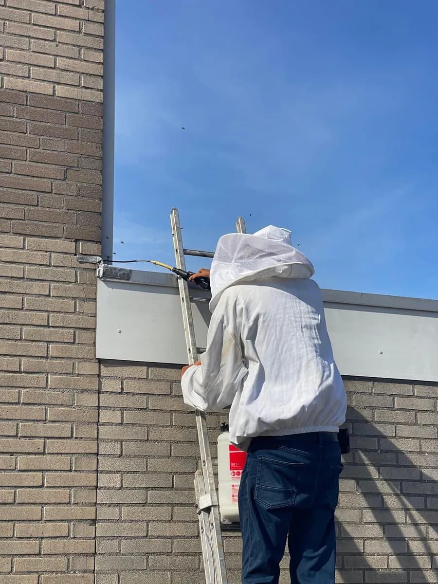 Frans op een ladder in beschermend pak, bezig met een wespennest in de dakrand
